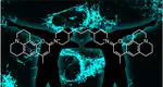 2,7-Diaminobenzopyrylium Dyes are Live-Cell Mitochondrial Stains