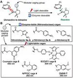 Modular Enzyme- and Light-Based Activation of Cyclopropene-Tetrazine Ligation