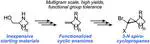 Inexpensive Multigram-Scale Synthesis of Cyclic Enamines and 3-*N* Spirocyclopropyl Systems
