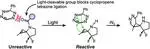 Caged Cyclopropenes for Controlling Bioorthogonal Reactivity