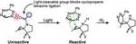 Caged Cyclopropenes for Controlling Bioorthogonal Reactivity