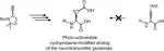 A Photocaged, Cyclopropene-Containing Analog of the Amino Acid Neurotransmitter Glutamate