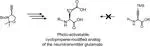 A Photocaged, Cyclopropene-Containing Analog of the Amino Acid Neurotransmitter Glutamate