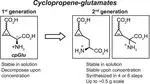 Stable Cyclopropene-Containing Analogs of the Amino Acid Neurotransmitter Glutamate